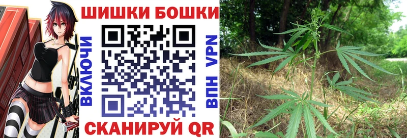 Бошки Шишки планчик  Краснодар 